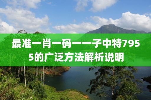 最準一肖一碼一一子中特7955的廣泛方法解析說明