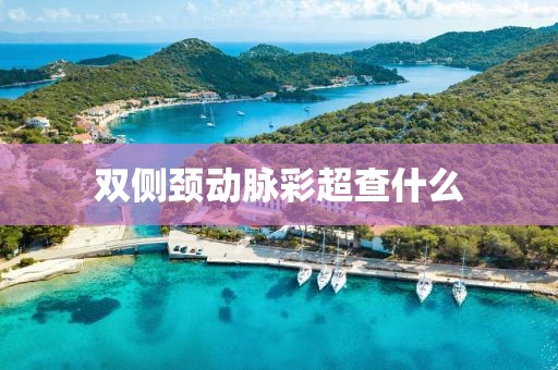 雙側頸動脈彩超查什么