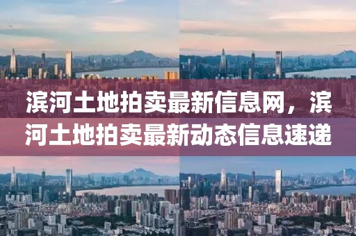 濱河土地拍賣最新信息網，濱河土地拍賣最新動態信息速遞