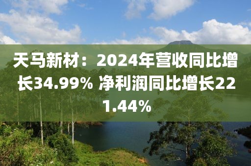 天馬新材：2024年?duì)I收同比增長(zhǎng)34.99% 凈利潤(rùn)同比增長(zhǎng)221.44%