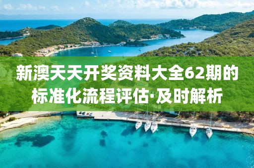 新澳天天開獎資料大全62期的標準化流程評估·及時解析
