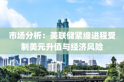 市場分析：美聯儲緊縮進程受制美元升值與經濟風險