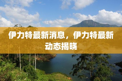 伊力特最新消息，伊力特最新動態揭曉