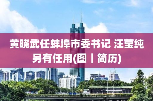 黃曉武任蚌埠市委書記 汪瑩純另有任用(圖｜簡歷)