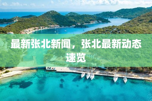 最新張北新聞，張北最新動態速覽