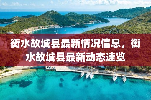 衡水故城縣最新情況信息，衡水故城縣最新動態(tài)速覽
