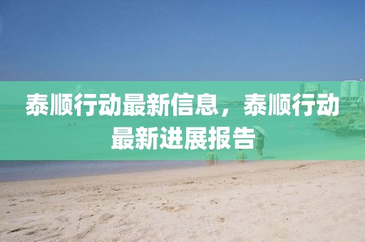 泰順行動最新信息，泰順行動最新進展報告