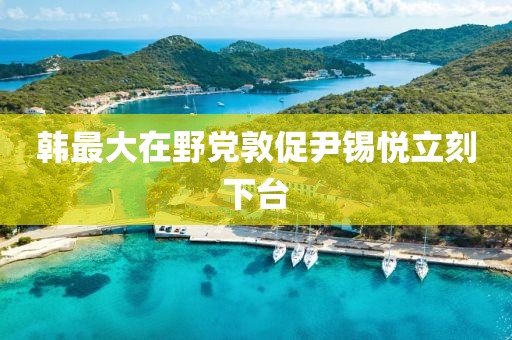 韓最大在野黨敦促尹錫悅立刻下臺(tái)