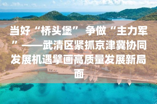 當好“橋頭堡” 爭做“主力軍”——武清區緊抓京津冀協同發展機遇擘畫高質量發展新局面
