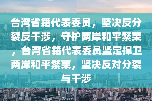 臺(tái)灣省籍代表委員，堅(jiān)決反分裂反干涉，守護(hù)兩岸和平繁榮，臺(tái)灣省籍代表委員堅(jiān)定捍衛(wèi)兩岸和平繁榮，堅(jiān)決反對(duì)分裂與干涉
