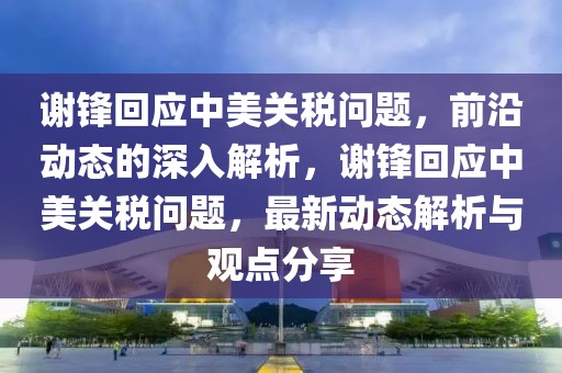 謝鋒回應中美關稅問題，前沿動態的深入解析，謝鋒回應中美關稅問題，最新動態解析與觀點分享