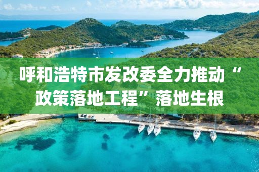 呼和浩特市發(fā)改委全力推動“政策落地工程”落地生根