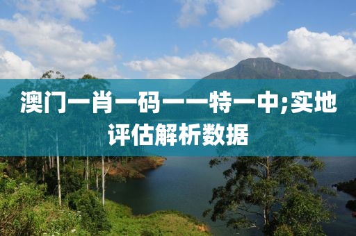 澳門一肖一碼一一特一中;實(shí)地評(píng)估解析數(shù)據(jù)