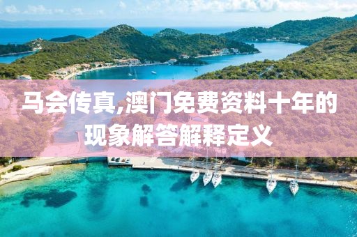 馬會傳真,澳門免費資料十年的現象解答解釋定義