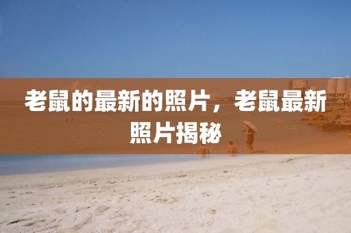 老鼠的最新的照片，老鼠最新照片揭秘
