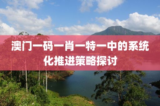 澳門一碼一肖一特一中的系統化推進策略探討