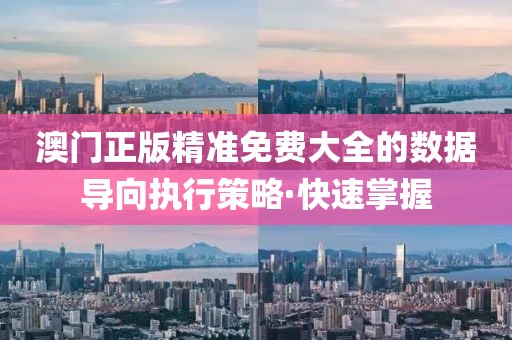 澳門正版精準免費大全的數據導向執行策略·快速掌握
