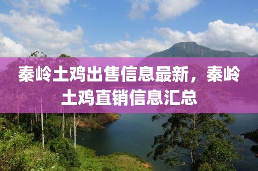 秦嶺土雞出售信息最新，秦嶺土雞直銷信息匯總