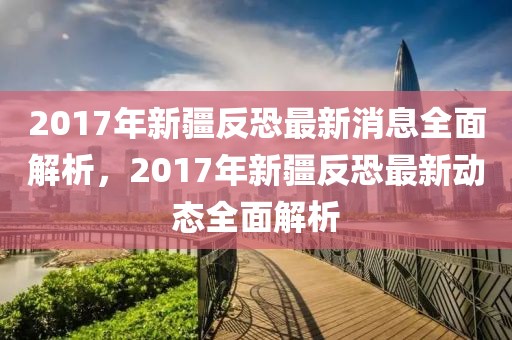 2017年新疆反恐最新消息全面解析，2017年新疆反恐最新動態全面解析