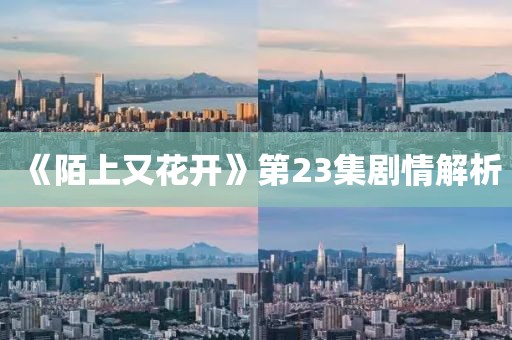 《陌上又花開》第23集劇情解析