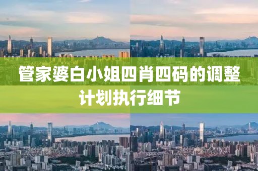 管家婆白小姐四肖四碼的調整計劃執行細節