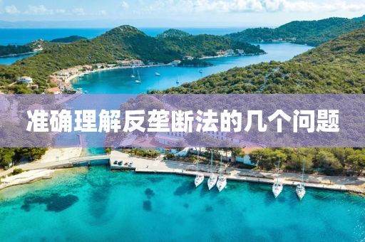 準(zhǔn)確理解反壟斷法的幾個問題
