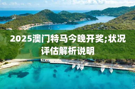 2025澳門特馬今晚開獎(jiǎng);狀況評(píng)估解析說明