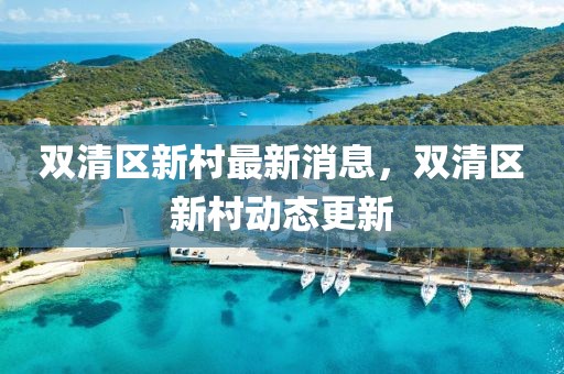 雙清區新村最新消息，雙清區新村動態更新