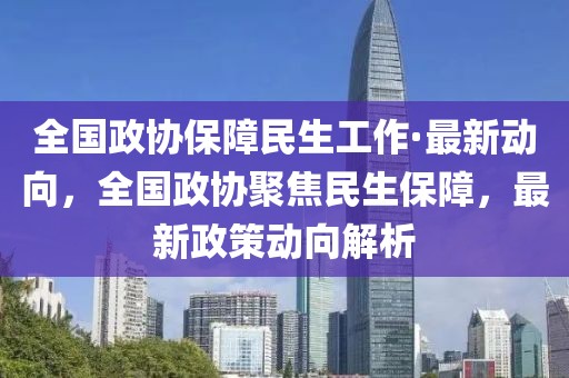 全國政協保障民生工作·最新動向，全國政協聚焦民生保障，最新政策動向解析