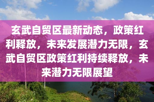 玄武自貿區最新動態，政策紅利釋放，未來發展潛力無限，玄武自貿區政策紅利持續釋放，未來潛力無限展望