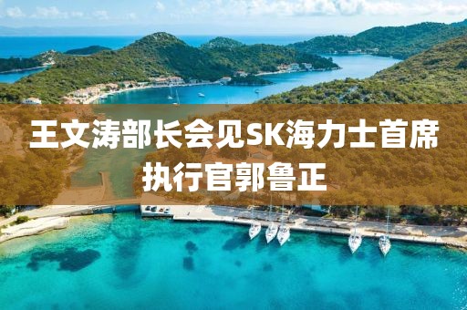 王文濤部長會見SK海力士首席執行官郭魯正