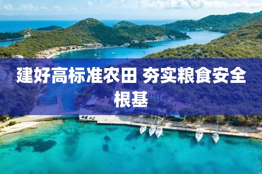 建好高標準農田 夯實糧食安全根基