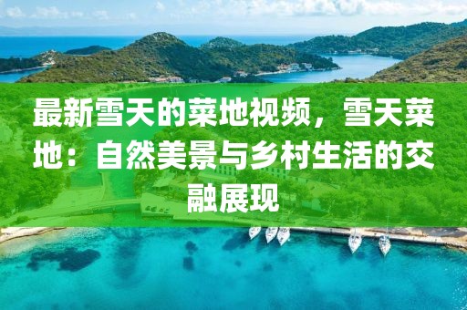 最新雪天的菜地視頻，雪天菜地：自然美景與鄉(xiāng)村生活的交融展現(xiàn)