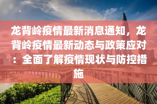 龍背嶺疫情最新消息通知，龍背嶺疫情最新動態與政策應對：全面了解疫情現狀與防控措施