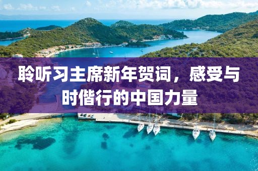 聆聽習(xí)主席新年賀詞，感受與時(shí)偕行的中國(guó)力量