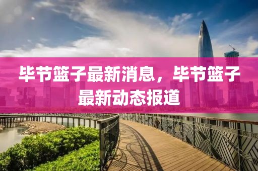畢節籃子最新消息，畢節籃子最新動態報道