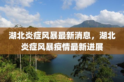湖北炎癥風暴最新消息，湖北炎癥風暴疫情最新進展