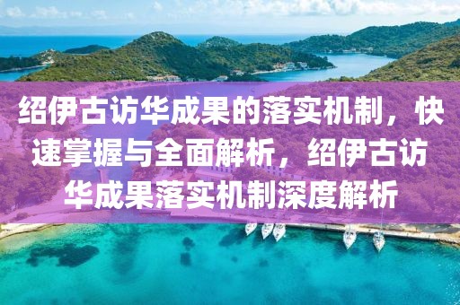 紹伊古訪華成果的落實(shí)機(jī)制，快速掌握與全面解析，紹伊古訪華成果落實(shí)機(jī)制深度解析