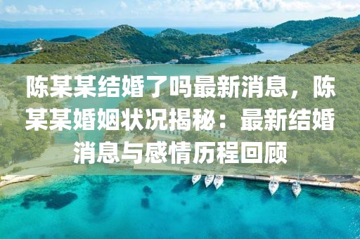 陳某某結婚了嗎最新消息，陳某某婚姻狀況揭秘：最新結婚消息與感情歷程回顧