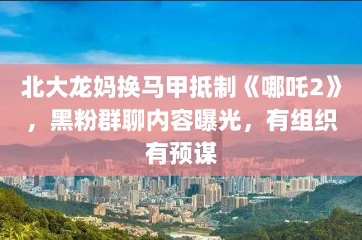 北大龍媽換馬甲抵制《哪吒2》，黑粉群聊內容曝光，有組織有預謀