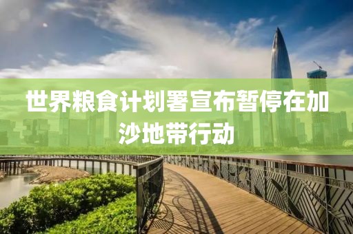 世界糧食計劃署宣布暫停在加沙地帶行動