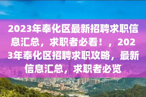 2023年奉化區最新招聘求職信息匯總，求職者必看！，2023年奉化區招聘求職攻略，最新信息匯總，求職者必覽