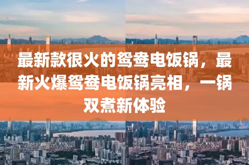 最新款很火的鴛鴦電飯鍋，最新火爆鴛鴦電飯鍋亮相，一鍋雙煮新體驗