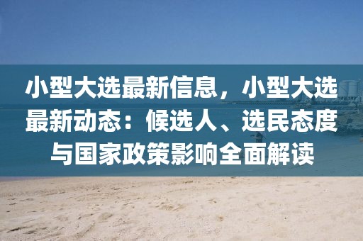 小型大選最新信息，小型大選最新動態：候選人、選民態度與國家政策影響全面解讀
