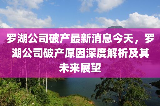 羅湖公司破產(chǎn)最新消息今天，羅湖公司破產(chǎn)原因深度解析及其未來展望