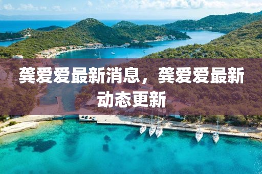 龔愛愛最新消息，龔愛愛最新動態更新