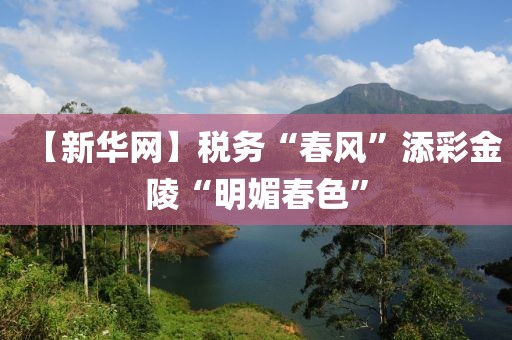 【新華網】稅務“春風”添彩金陵“明媚春色”