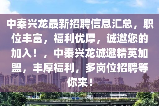 中秦興龍最新招聘信息匯總，職位豐富，福利優厚，誠邀您的加入！，中秦興龍誠邀精英加盟，豐厚福利，多崗位招聘等你來！