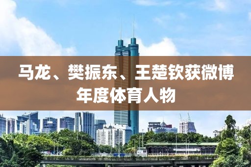 馬龍、樊振東、王楚欽獲微博年度體育人物