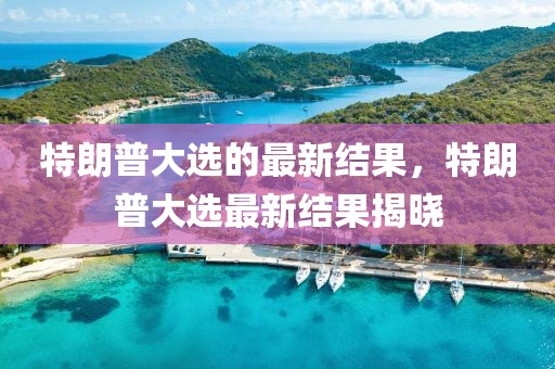 特朗普大選的最新結果，特朗普大選最新結果揭曉
